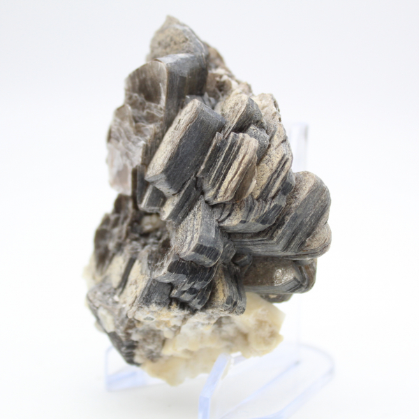 Mica et tourmaline noire sur quartz, Afghanistan