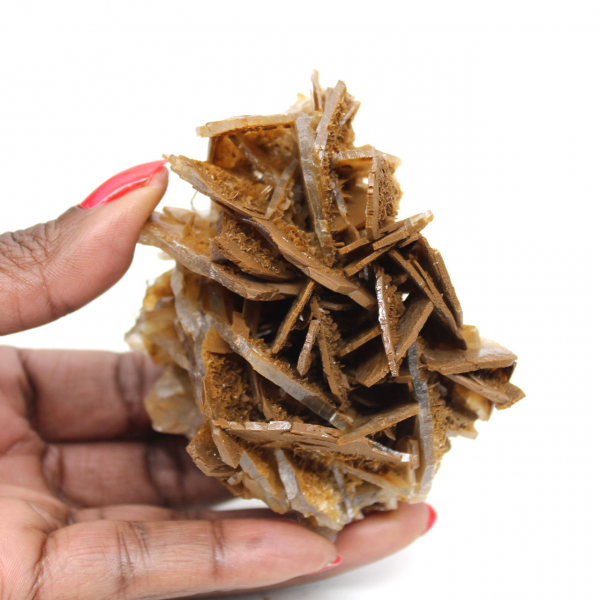 Barita marrón marroquí pequeña