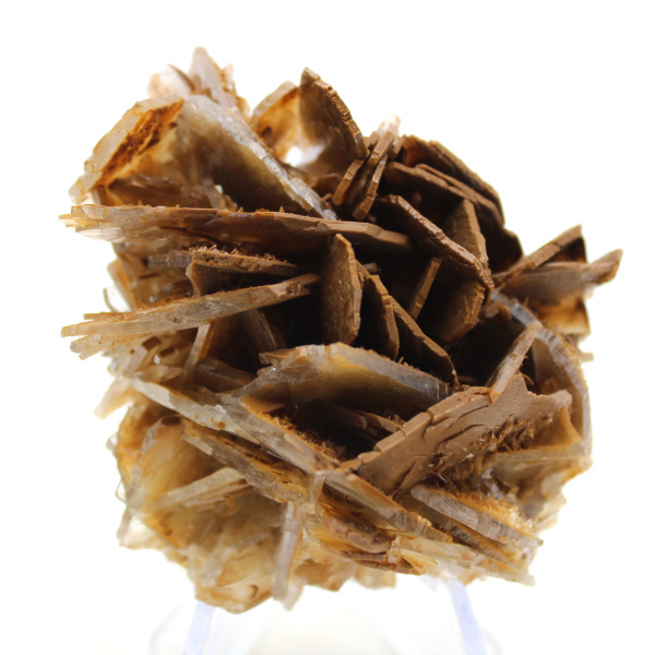 Barita marrón marroquí pequeña