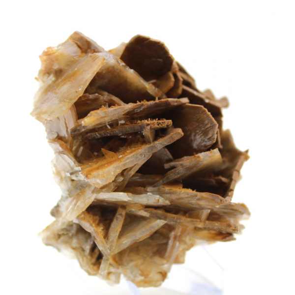 Barita marrón marroquí pequeña