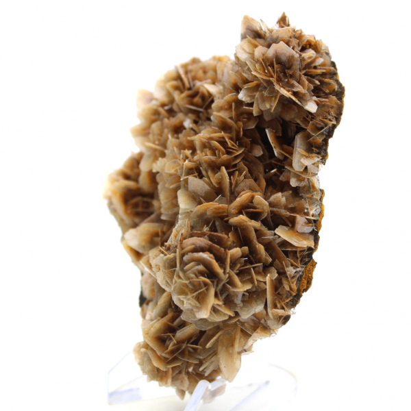 Barita marrón translúcida de Marruecos