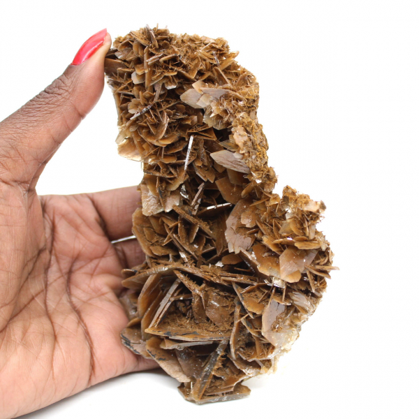 Cristales dorados de barita marroquí