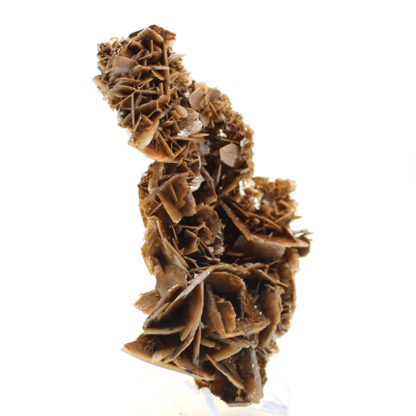 Cristales dorados de barita marroquí