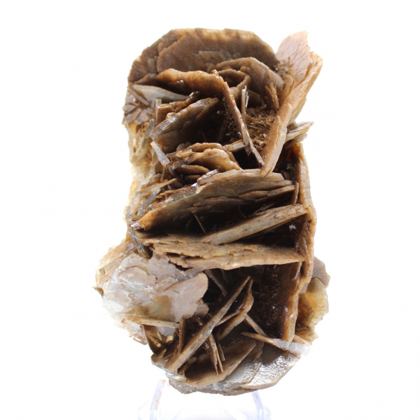 Cristales de barita marrón de Marruecos