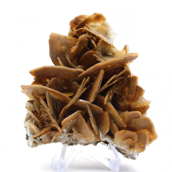 Cristales marrones de barita de Ouichane