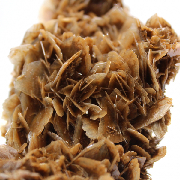 Moneda marroquí de barita con cristales marrones