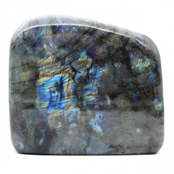 Grande Labradorite Polie pour Collectionneurs