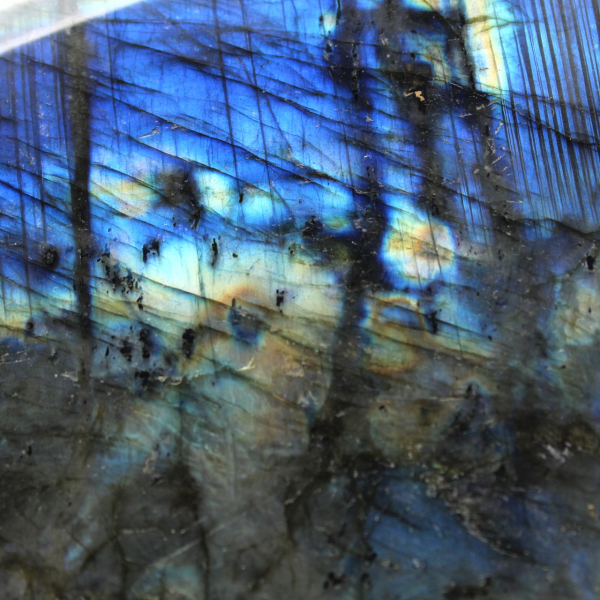 Grande Labradorite Polie pour Collectionneurs