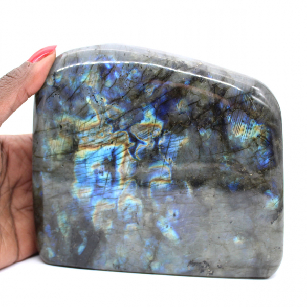 Grande Labradorite Polie pour Collectionneurs