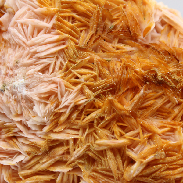 Barita laranja de Marrocos com cristalização acentuada.